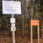 BRMC - Rebecca Willison