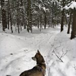 Bracebridge Resource Management Centre