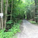 Trans Canada Trail - Bracebridge